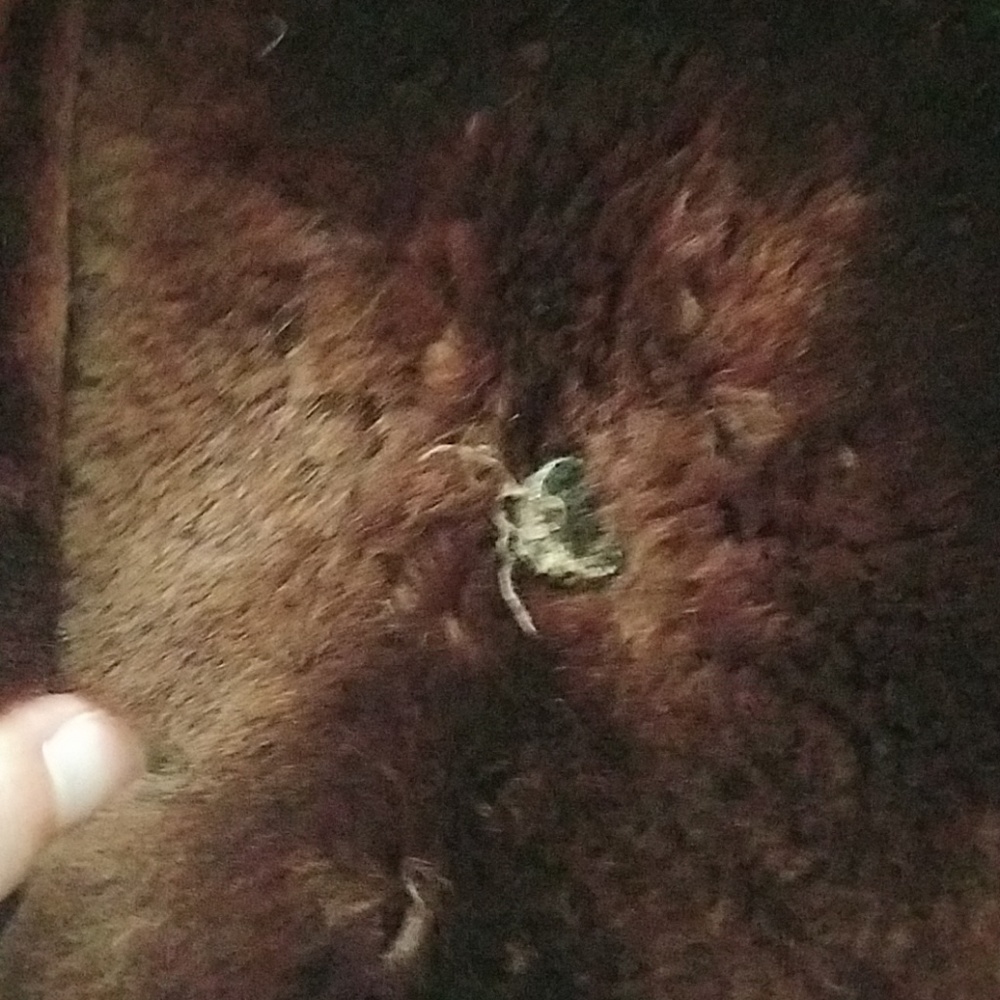 Vintage McCurdy's of Rochester Fur Coat - Picture 6 of 7